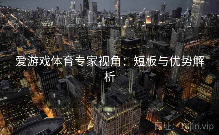 爱游戏体育专家视角：短板与优势解析