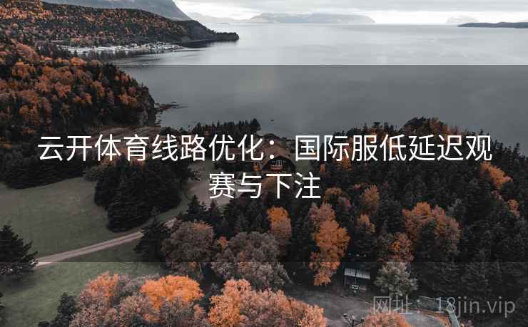 云开体育线路优化：国际服低延迟观赛与下注