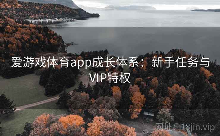 爱游戏体育app成长体系:新手任务与VIP特权