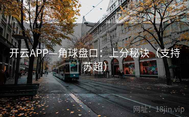 开云APP—角球盘口:上分秘诀(支持苏超)