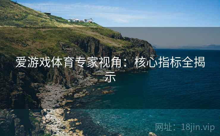 爱游戏体育专家视角:核心指标全揭示
