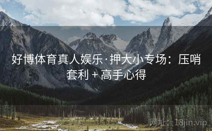好博体育真人娱乐·押大小专场:压哨套利 + 高手心得